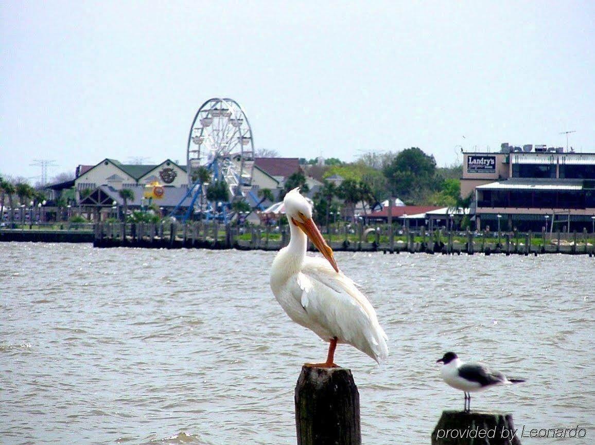 Boardwalk Inn Kemah Extérieur photo